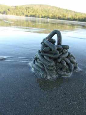 Crab or shellfish sculpture
