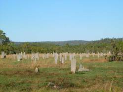 Not a cemetery - Magnetic Termite Mounds