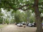 Our Campsite, Picnic Point Campground, Barmah National Park